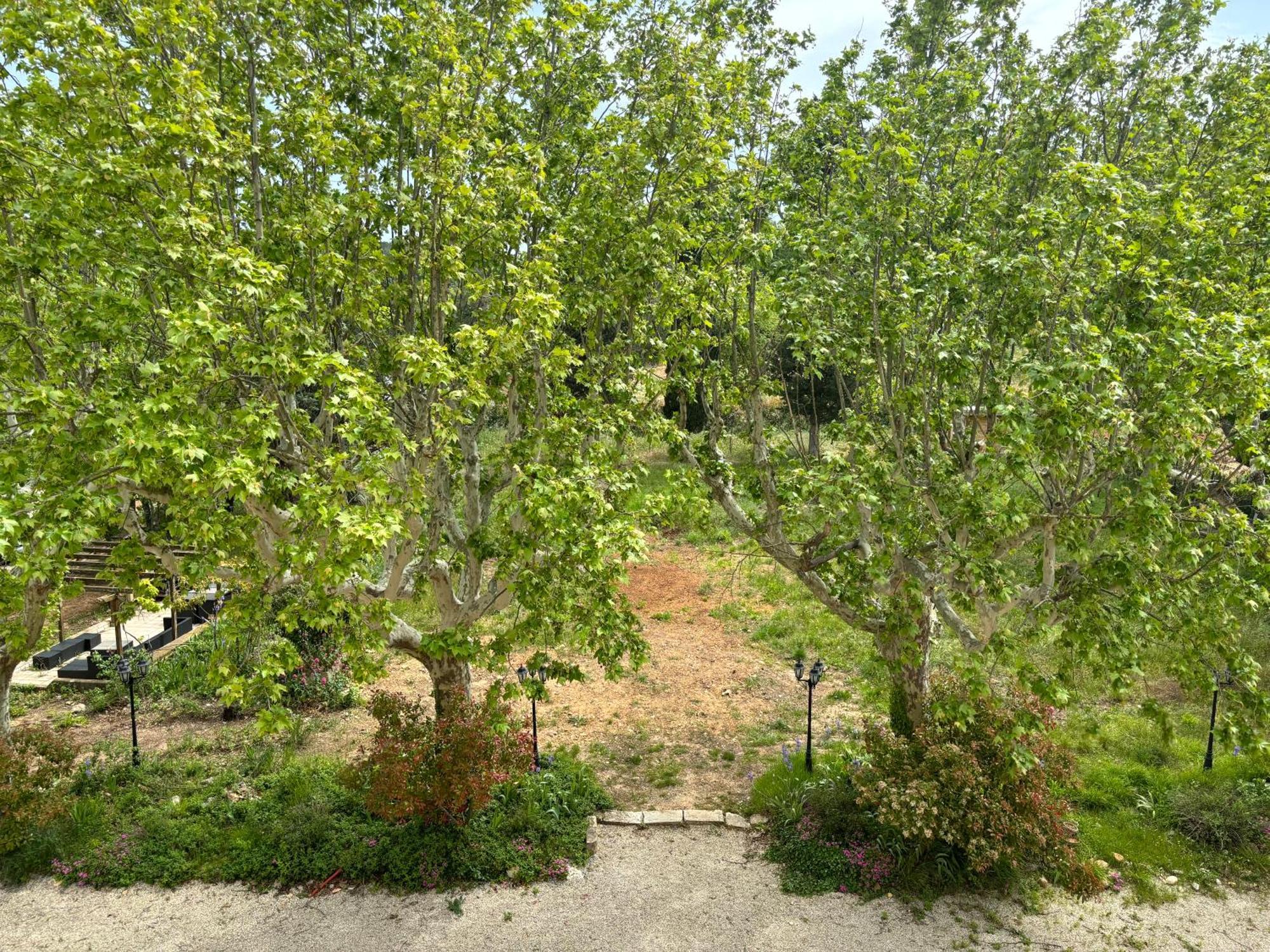 Appartement De Standing Dans Une Bastide Aixoise Αιξ-αν-Προβάνς Εξωτερικό φωτογραφία